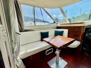 BENETEAU FLYER 10 F1 - BATEAU MOTEUR OCCASION - MARIE COURTAGE (13)