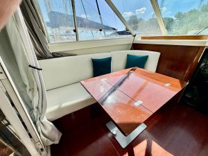 BENETEAU FLYER 10 F1 - BATEAU MOTEUR OCCASION - MARIE COURTAGE (15)