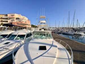 ALBEMARLE 360 EXPRESS - BATEAU MOTEUR OCCASION MARINE COURTAGE (24)