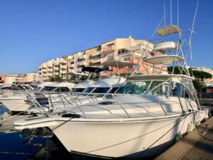 ALBEMARLE 360 EXPRESS - BATEAU MOTEUR OCCASION MARINE COURTAGE (32)