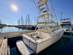 ALBEMARLE 360 EXPRESS - BATEAU MOTEUR OCCASION MARINE COURTAGE (9)