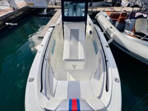 SEAGAME SPORT FISHERMAN 250 CC - BATEAU MOTEUR OCCASION MARINE COURTAGE (9)