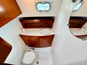 BENETEAU ANTARES SERIE 9 - BATEAU MOTEUR OCCASION MARINE COURTAGE (4)