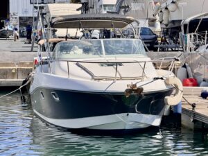 JEANNEAU LEADER 805 - BATEAU MOTEUR OCCASION MARINE COURTAGE (27)