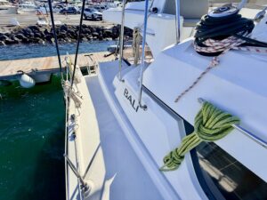 BALI CATSPACE - CATAMARAN OCCASION MARINE COURTAGE (26)