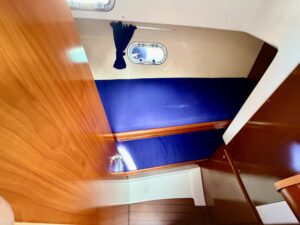 BENETEAU ANTARES 9.80 - BATEAU MOTEUR OCCASION MARINE COURTAGE (10)