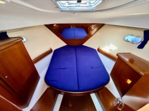 BENETEAU ANTARES 9.80 - BATEAU MOTEUR OCCASION MARINE COURTAGE (6)